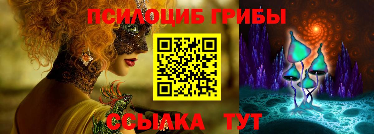 Димитровград  Псилоцибиновые грибы прущие грибы  Вход с VPN 